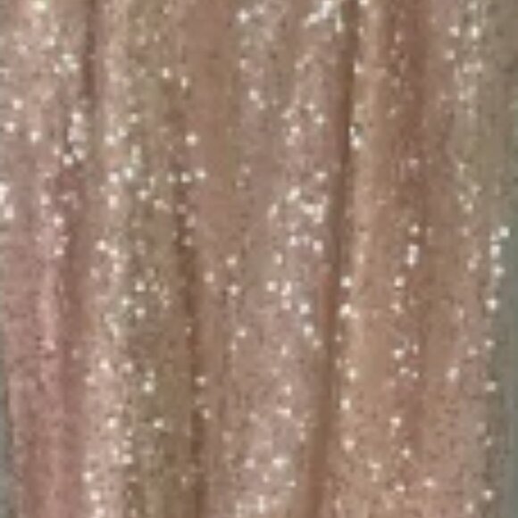 Brand New En Elly Sleeveless V-Neck Lace Sequin Slip Midi Dress - Picture 12 of 14